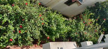 3 BHK Villa – Garden View at Rane Nagar - for Rent