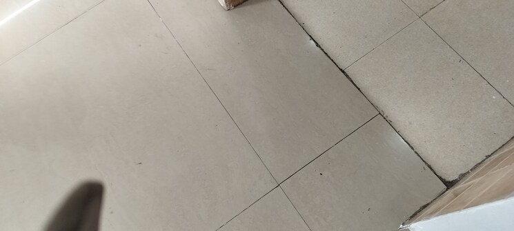 Room, amrapali-eden-park 2 Bedroom 1140 Sq.Ft. Apartment In Sector 50 Noida 8889653