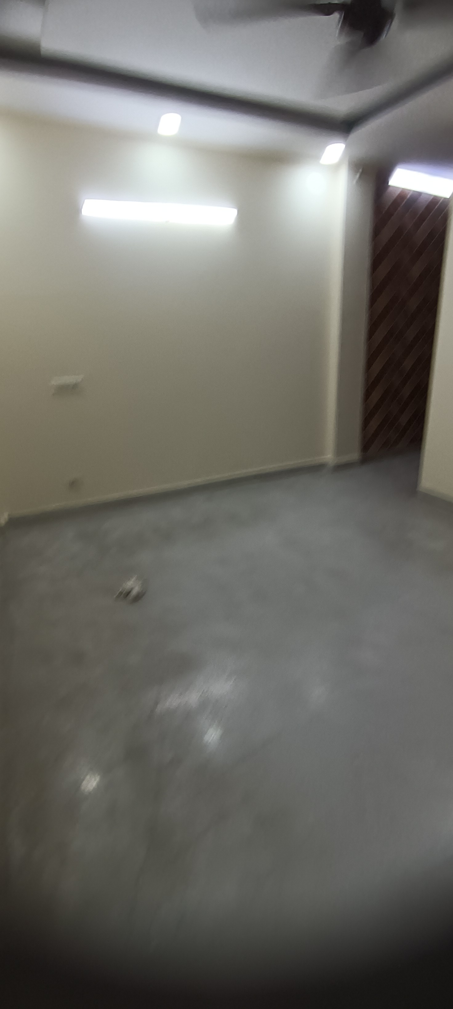 2.5 BHK + Study Room,Extra Room Builder Floor For Rent in Asija Associates 