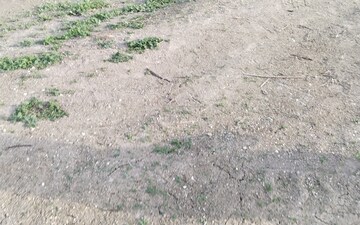 Plot For Sale in Nari Village