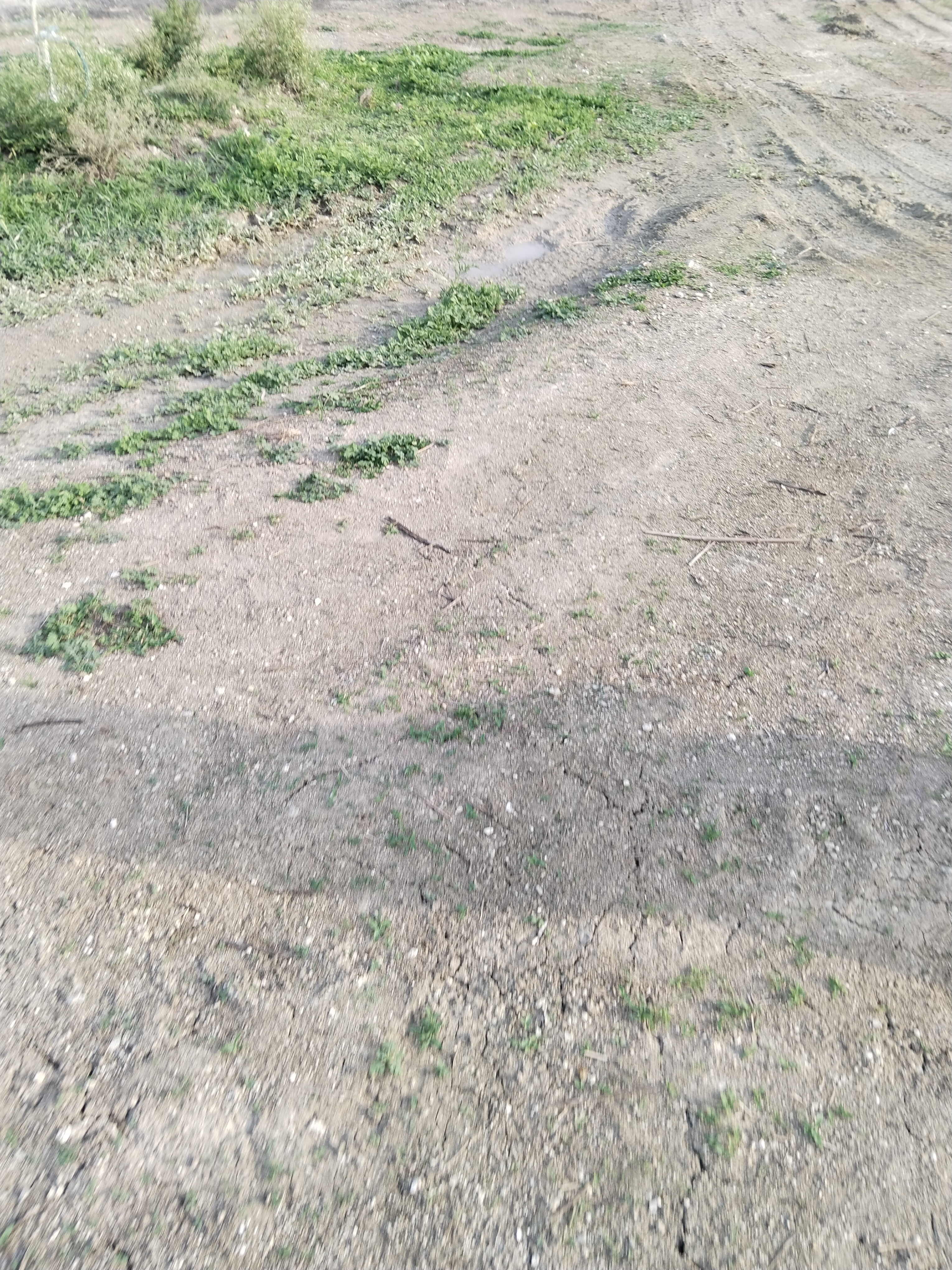 Plot For Sale in Shree Shyam Properties