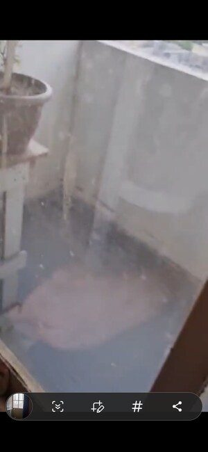 Swimming Pool in 2 BHK Apartment at Signature Solera Apartment, Sector 107 – for Sale