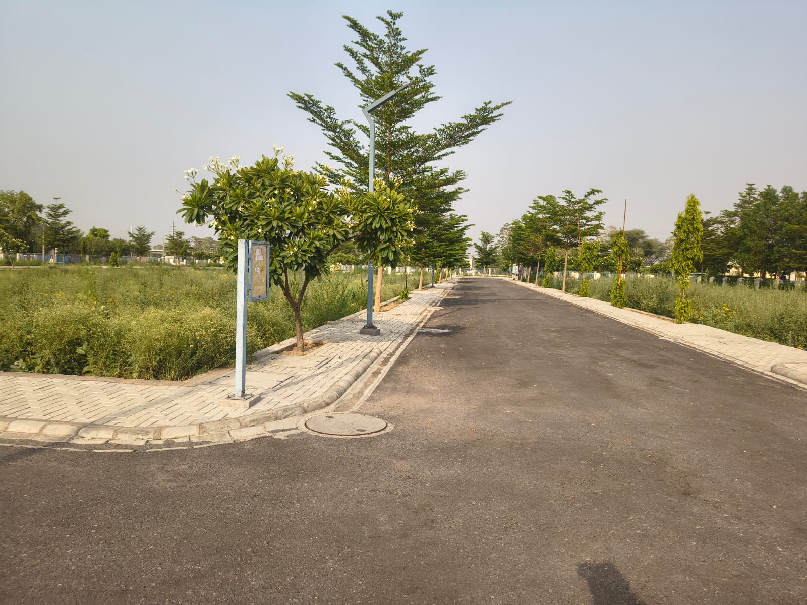 Plot For Sale in Gurgaon Village
