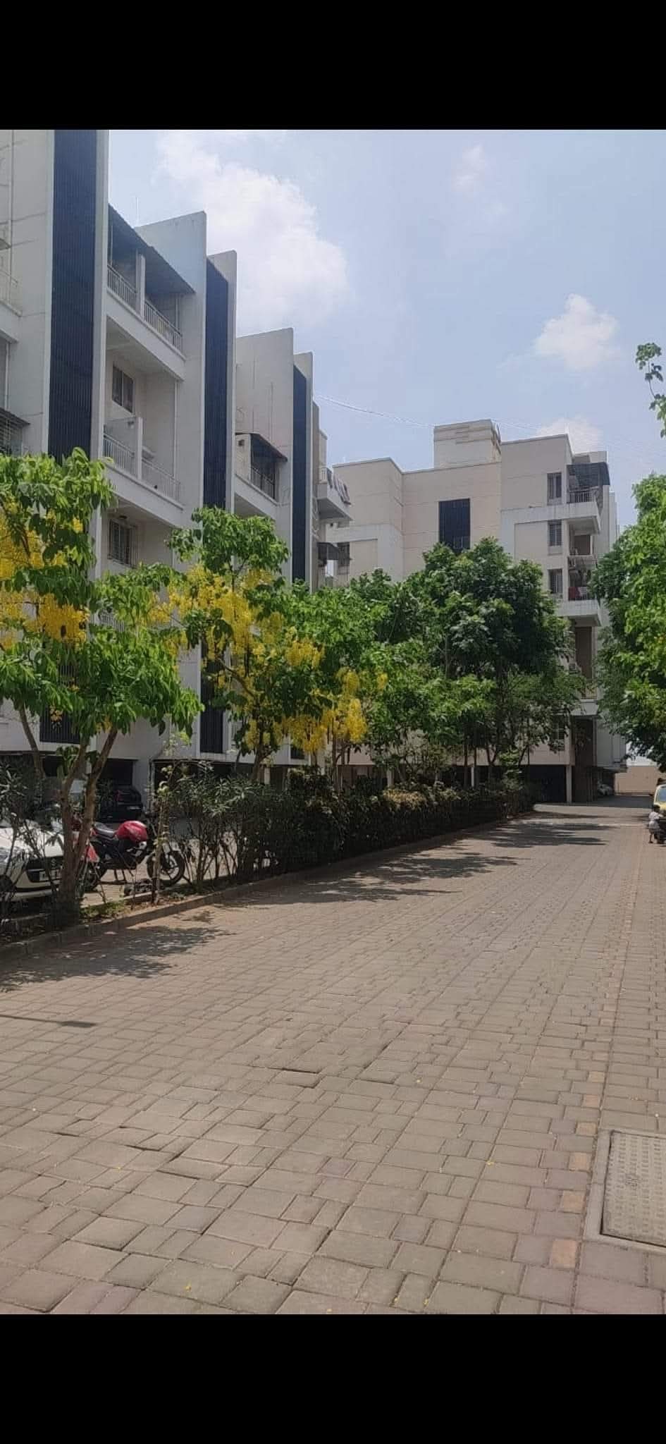 1 BHK Apartment For Rent in Malkani Bella Vita