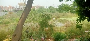  Plot For Sale in Dholera