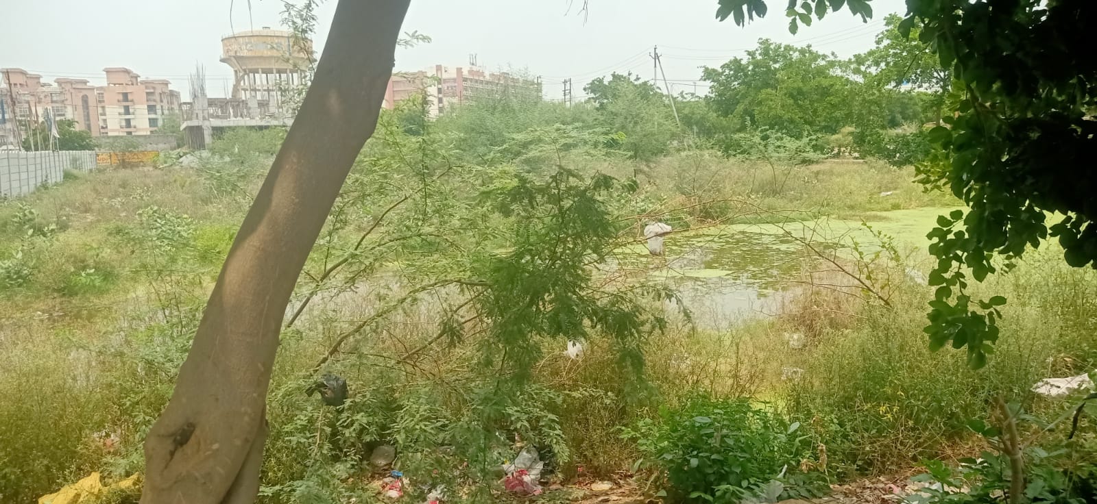 Plot For Sale in Dholera