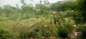  Plot – Exterior View View at Dholera - for Sale