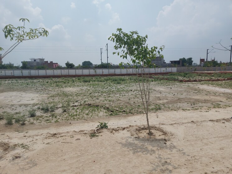 undefined, raebareli road  2000 Sq.Ft. Plot In Raebareli Road Lucknow 8891327