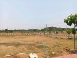 1000 Sq.Yd. Plot in Sector 17