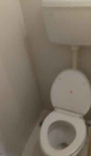 Bathroom in 2 BHK Builder Floor at Hingne Khurd – for Sale