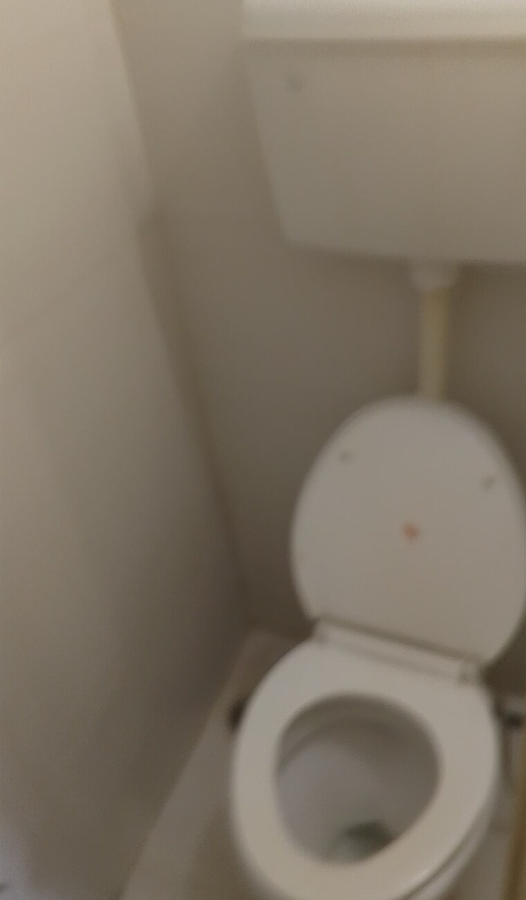 Bathroom, hingne khurd 2 Bedroom 750 Sq.Ft. Builder Floor In Hingne Khurd Pune 8891546