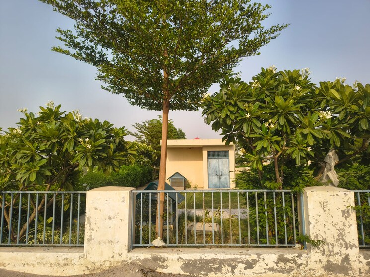 Exterior View, gurgaon village  163 Sq.Yd. Plot In Gurgaon Village Gurgaon 8891755