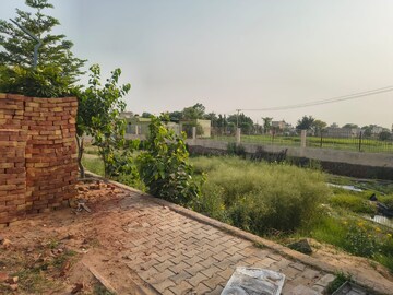 Plot Area in  Plot at Gurgaon Village – for Sale