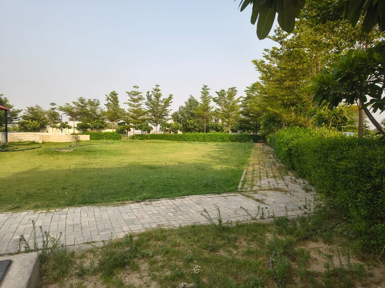 undefined, gurgaon village  87 Sq.Yd. Plot In Gurgaon Village Gurgaon 8892044