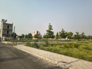 Plot Area in  Plot at Gurgaon Village – for Sale