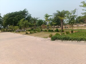 Plot Area in  Plot at Gurgaon Village – for Sale
