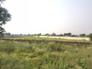  Plot For Sale in Gurgaon Village