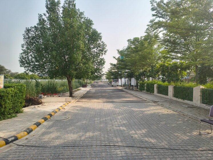 Garden, gurgaon village  121 Sq.Yd. Plot In Gurgaon Village Gurgaon 8892331