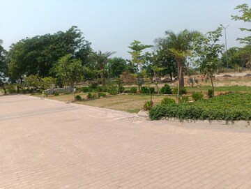 Plot Area in  Plot at Gurgaon Village – for Sale