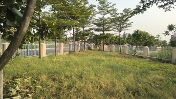Plot Area in  Plot at Gurgaon Village – for Sale