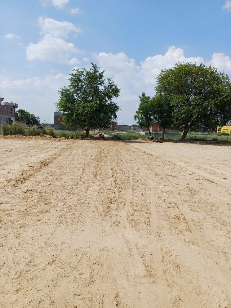 Garden, bhopani  67 Sq.Yd. Plot In Bhopani Faridabad 8892702