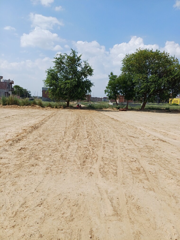 Garden, bhopani  67 Sq.Yd. Plot In Bhopani Faridabad 8892702