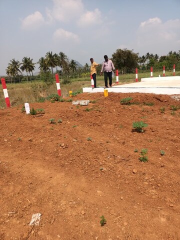  Plot – Exterior View View at Government Hospital Road - for Sale