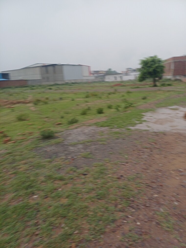 Garden, jajru  51 Sq.Yd. Plot In Jajru Faridabad 8892961