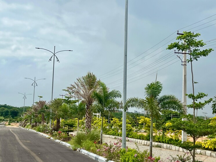 Garden, vasavi-archana-white-lotus  246 Sq.Yd. Plot In Kethireddipally Hyderabad 8893663