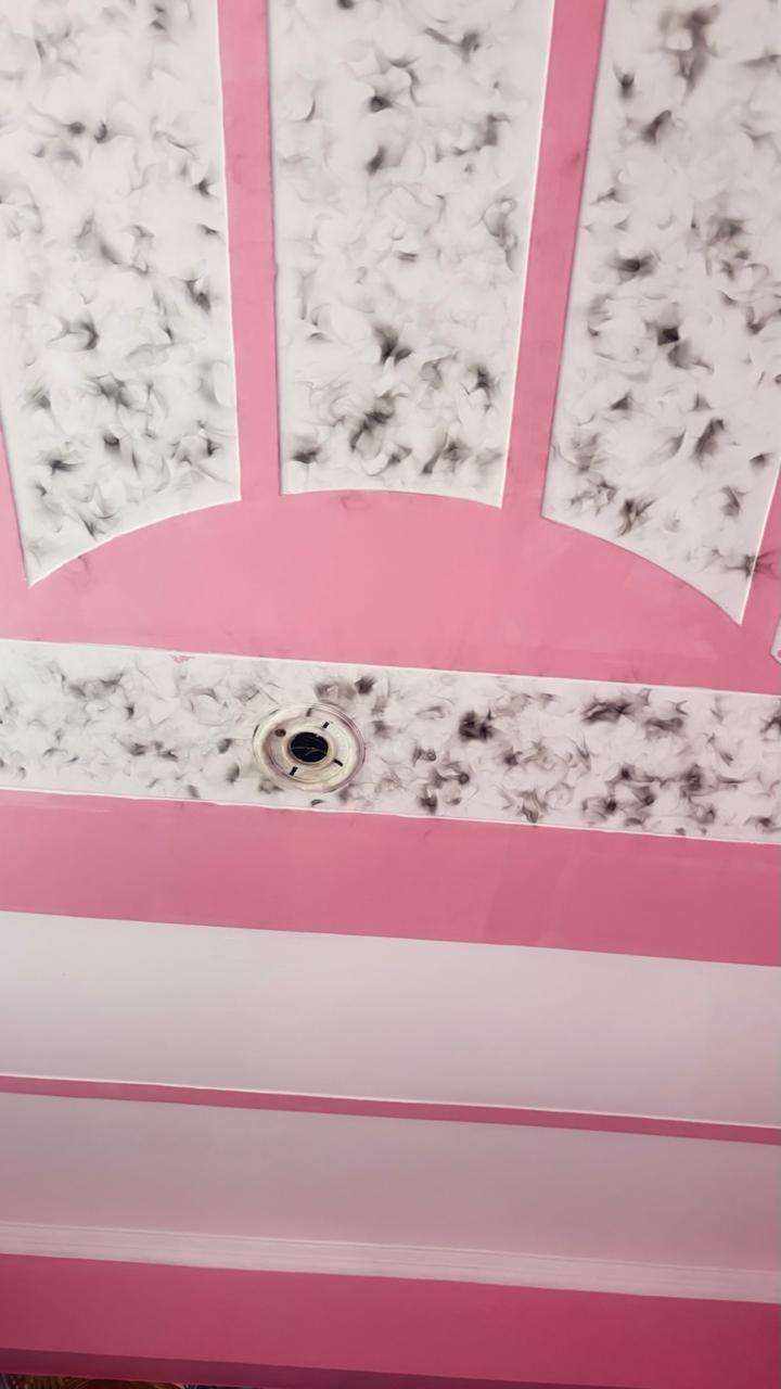 1 BHK + Study Room Builder Floor For Sale in Dlf Ankur Vihar