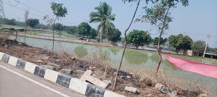 undefined, sr-rock-town  361 Sq.Yd. Plot In Mazidpur Hyderabad 8893819