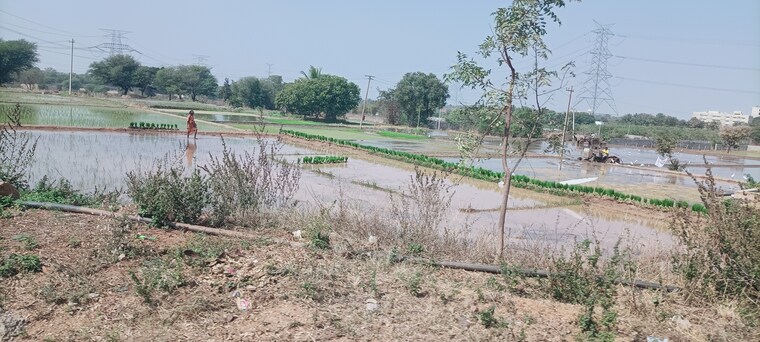 undefined, sr-rock-town  361 Sq.Yd. Plot In Mazidpur Hyderabad 8893819