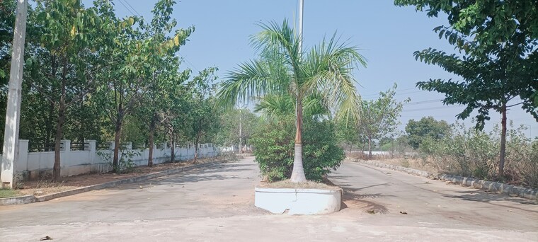 undefined, sr-rock-town  361 Sq.Yd. Plot In Mazidpur Hyderabad 8893819