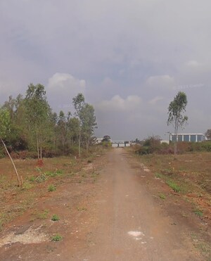  Plot For Sale in Castel Woods, Jigani