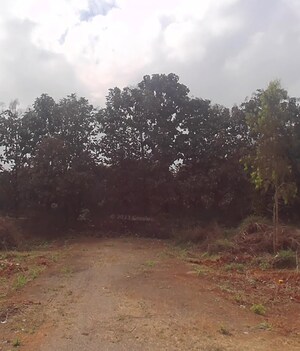 Plot Area in  Plot at Castel Woods, Jigani – for Sale