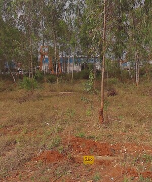 Plot Area in  Plot at Castel Woods, Jigani – for Sale