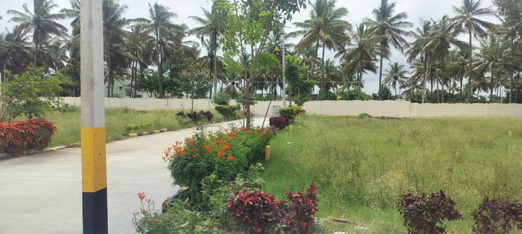 Exterior View, jigani  1200 Sq.Ft. Plot In Jigani Bangalore 8893837
