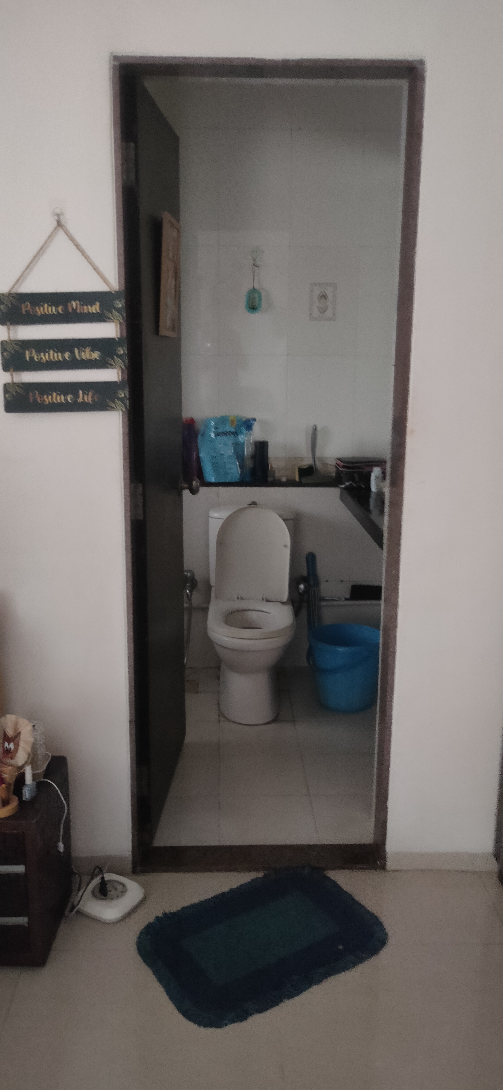 2.5 BHK Apartment For Rent in Evershine Sapphire