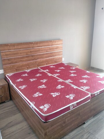 1 BHK Apartment For Rent in Paramount Golfforeste, Zeta I Greater Noida