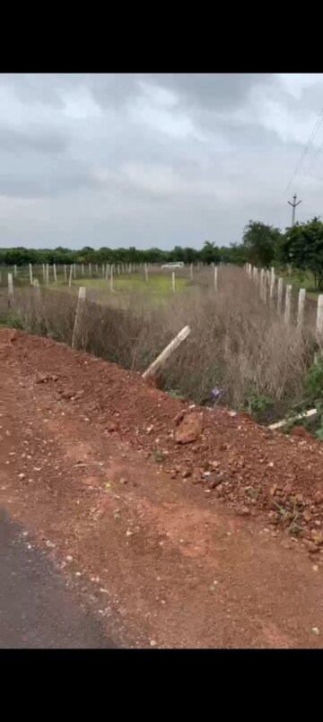 Plot Area in  Land at Zahirabad Rural – for Sale