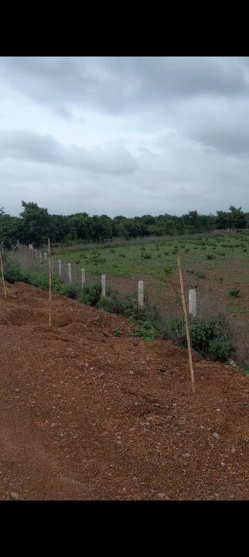 Plot Area in  Land at Zahirabad Rural – for Sale