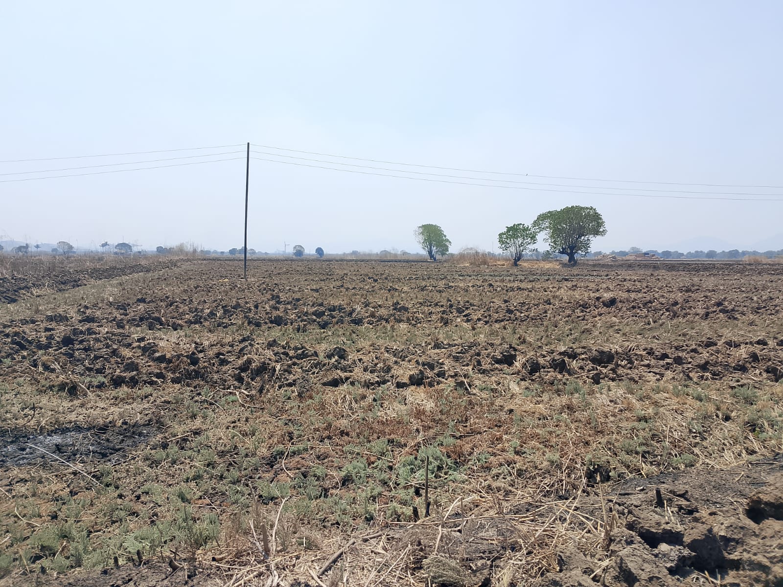 Land For Sale in Commercial Plot 