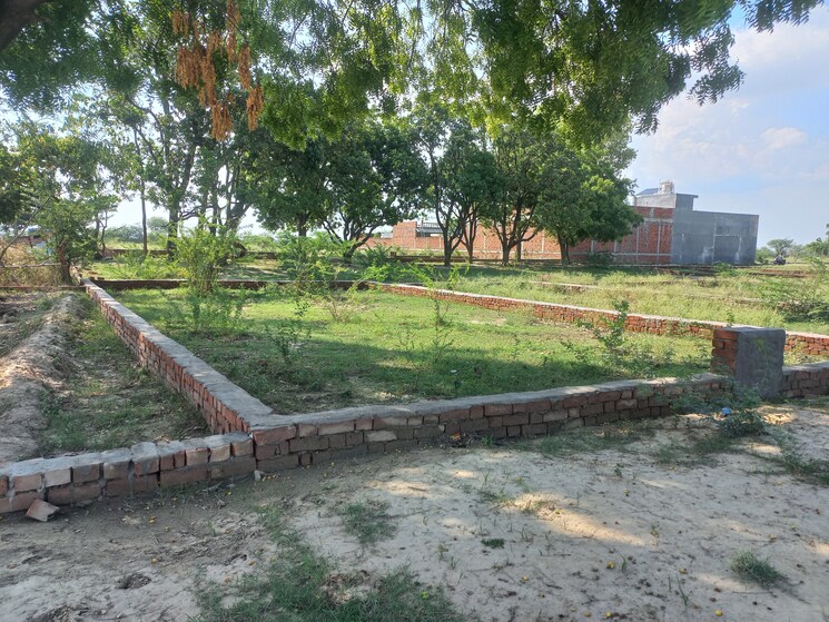 Garden, vikas nagar  1000 Sq.Ft. Plot In Vikas Nagar Lucknow 8894581