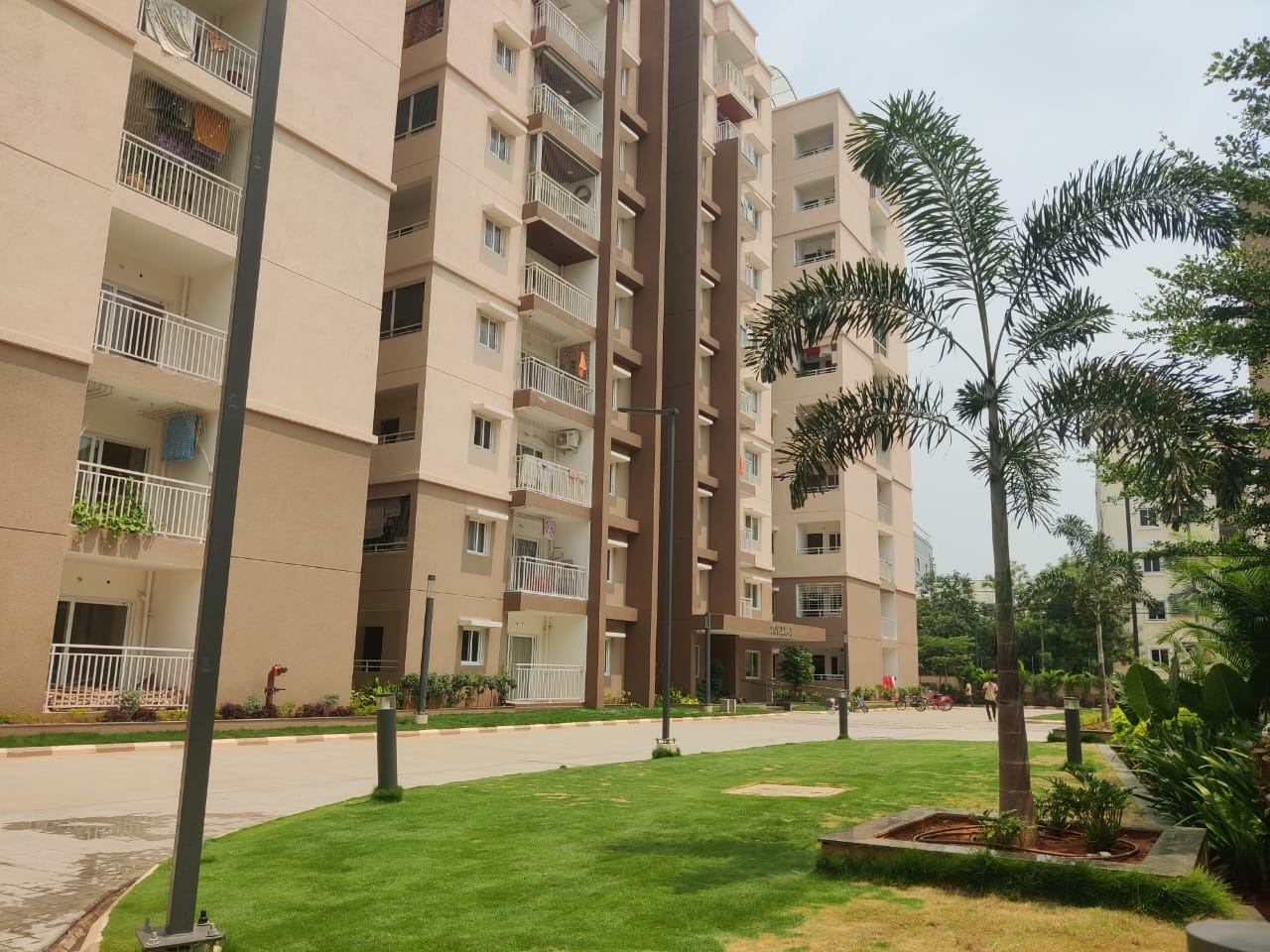 2.5 BHK Apartment For Rent in Ramky One Harmony