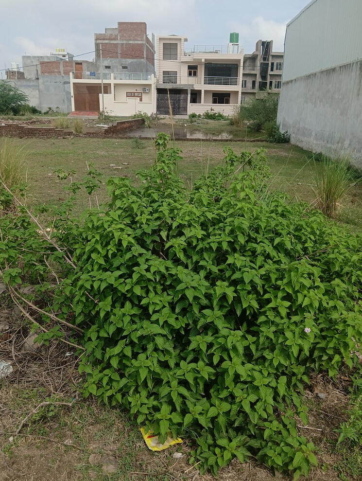 Garden, deva road  1000 Sq.Ft. Plot In Deva Road Lucknow 8894753