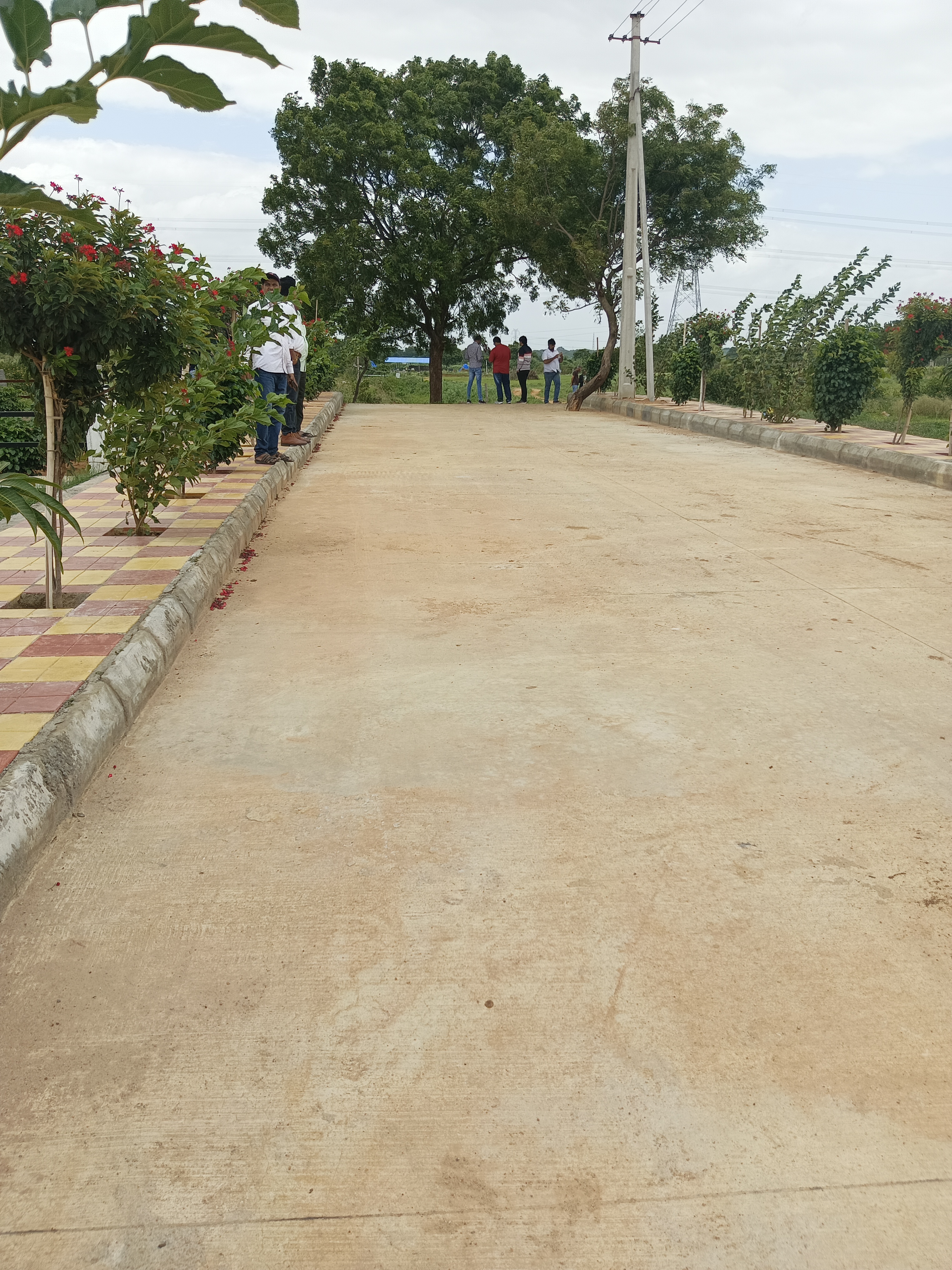 Plot For Sale in Golden Heights 2