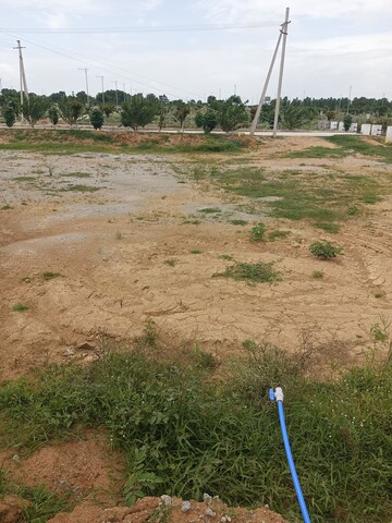 Plot Area in  Plot at Shadnagar – for Sale