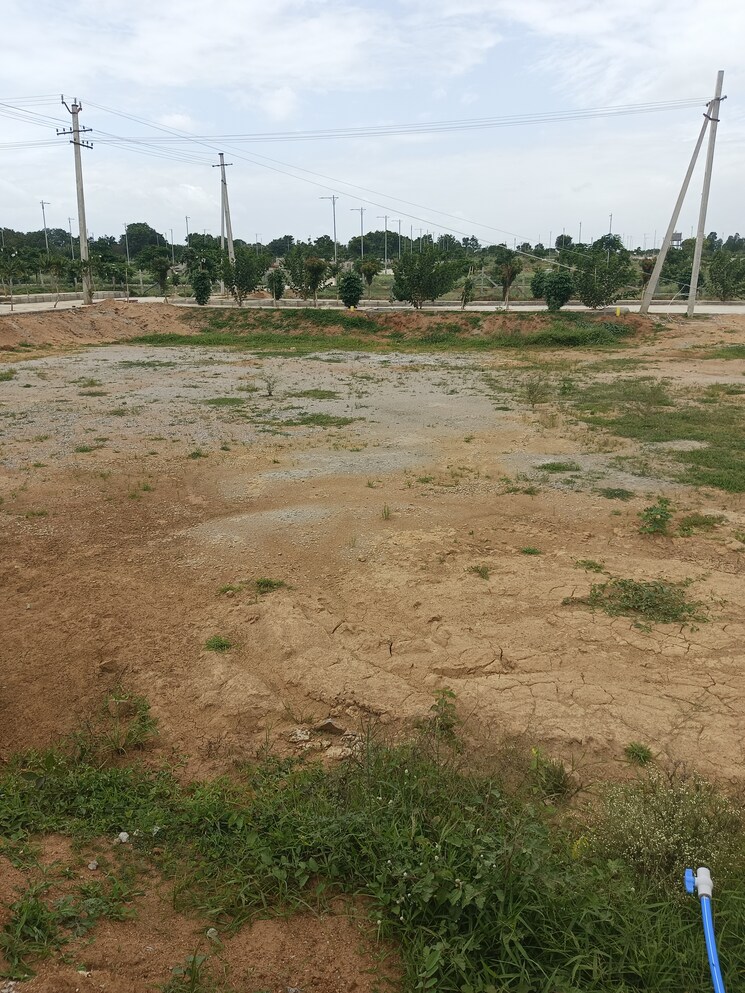 undefined, shadnagar  150 Sq.Yd. Plot In Shadnagar Hyderabad 8894934