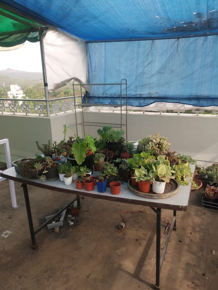 Exterior View, dp road 3 Bedroom 2500 Sq.Ft. Independent House In Dp Road Pune 8894952