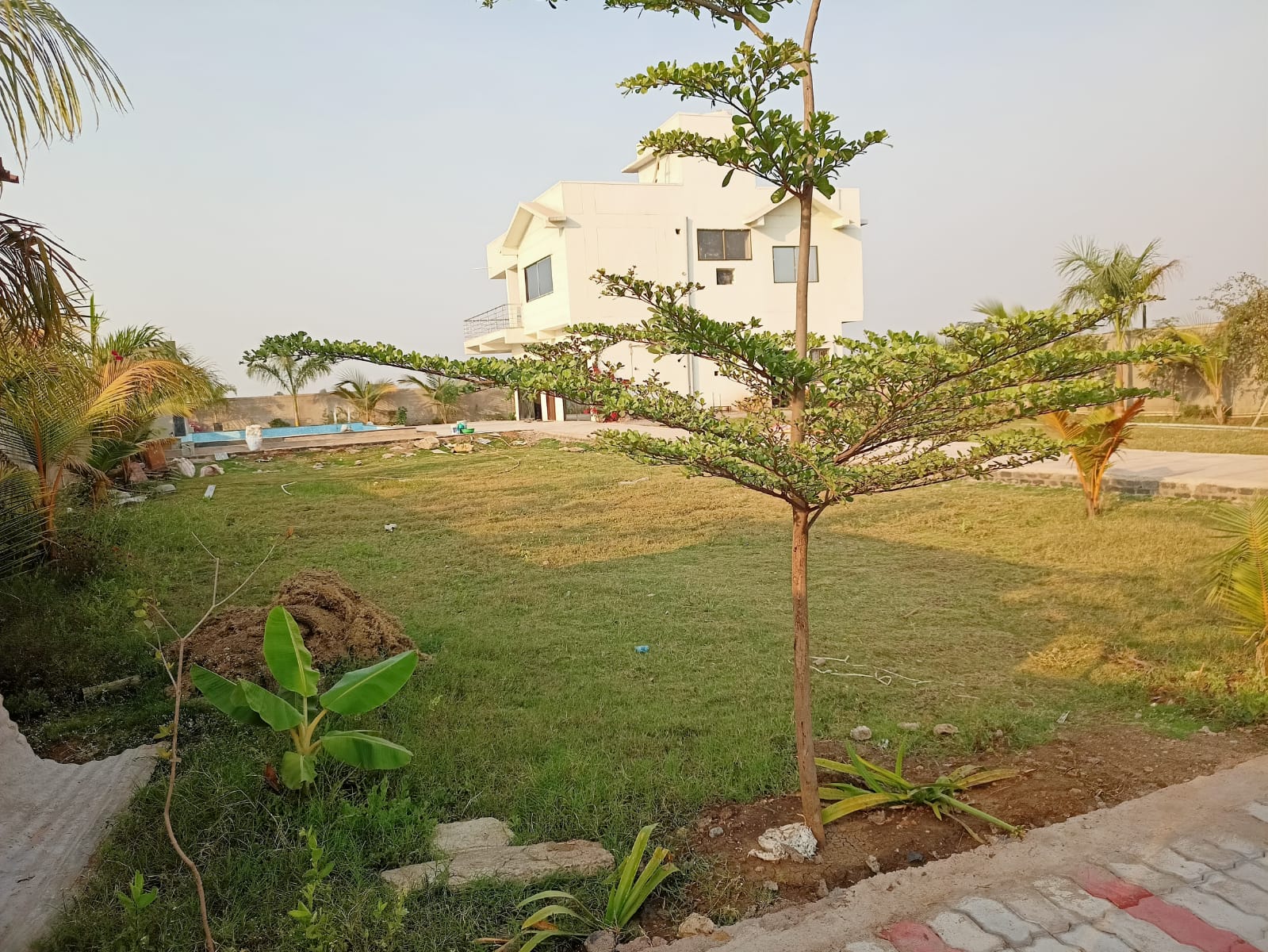 Plot For Sale in Bhatagaon